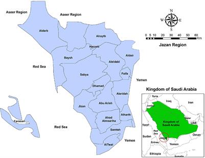 Burnout Among School Teachers During the COVID-19 Pandemic in Jazan Region, Saudi Arabia